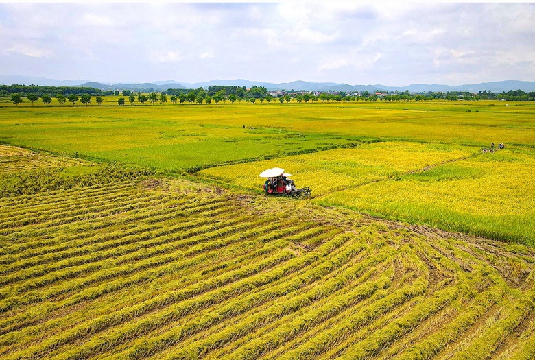Năng suất l&uacute;a ở H&agrave; Tĩnh tăng cao nhờ ứng dụng khoa học kỹ thuật- Ảnh 2.