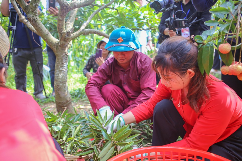 X&uacute;c tiến, k&yacute; kết ti&ecirc;u thụ 25.000 tấn vải thiều Lục Ngạn- Ảnh 7.