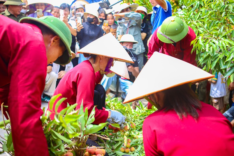 X&uacute;c tiến, k&yacute; kết ti&ecirc;u thụ 25.000 tấn vải thiều Lục Ngạn- Ảnh 5.