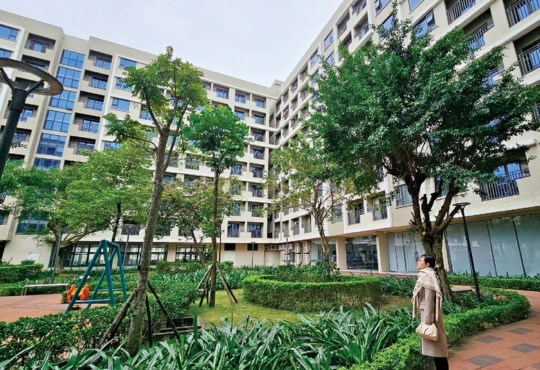 Sở X&acirc;y dựng c&oacute; nhiệm vụ nghi&ecirc;n cứu x&acirc;y dựng, tr&igrave;nh UBND cấp tỉnh xem x&eacute;t, b&aacute;o c&aacute;o Hội đồng nh&acirc;n d&acirc;n cấp tỉnh quyết định ban h&agrave;nh v&agrave; điều chỉnh chương tr&igrave;nh, kế hoạch ph&aacute;t triển nh&agrave; ở của tỉnh.