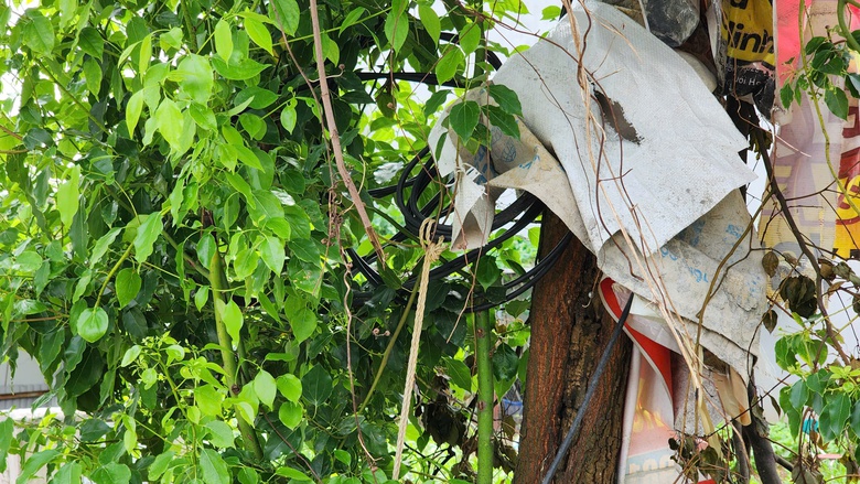 Bắc Ninh: Khi n&agrave;o người d&acirc;n khu đất đấu gi&aacute; Niềm X&aacute; hết cảnh c&acirc;u nhờ điện?- Ảnh 3.