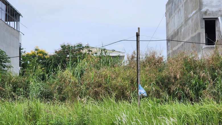 Bắc Ninh: Khi n&agrave;o người d&acirc;n khu đất đấu gi&aacute; Niềm X&aacute; hết cảnh c&acirc;u nhờ điện?- Ảnh 2.