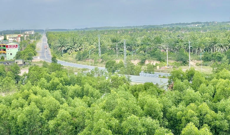 Quảng Trị: Chuyển chủ đầu tư dự &aacute;n ph&aacute;t triển đ&ocirc; thị ven biển miền Trung- Ảnh 1.