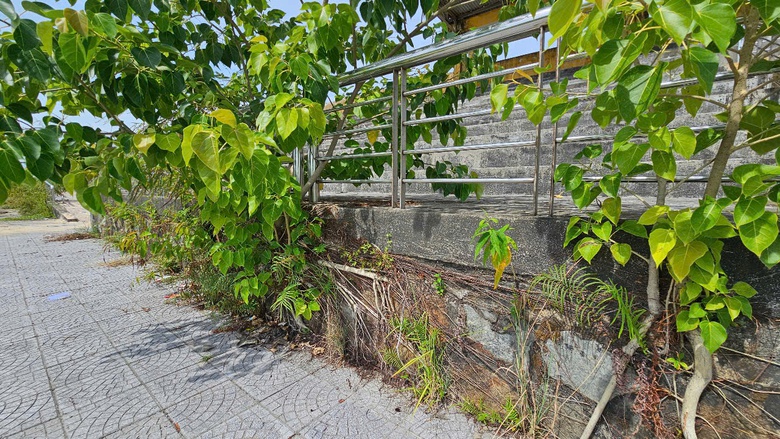 Huế: Sớm cải tạo, n&acirc;ng cấp trung t&acirc;m văn h&oacute;a thể thao 21 tỷ đồng bỏ hoang- Ảnh 9.