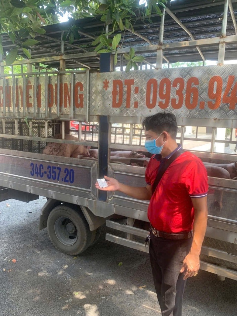 Ph&uacute; Thọ: Ph&aacute;t hiện, điều tra vụ vận chuyển 1,6 tấn thịt lợn nhiễm bệnh- Ảnh 1.