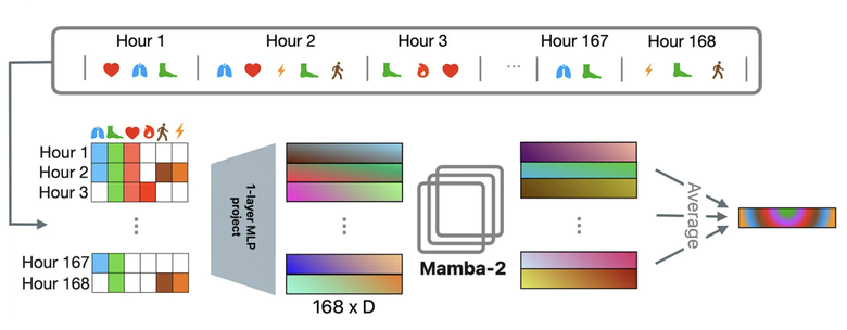 Apple ph&aacute;t triển m&ocirc; h&igrave;nh AI theo d&otilde;i sức khỏe người d&ugrave;ng với độ ch&iacute;nh x&aacute;c cao- Ảnh 2.