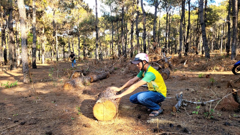 Gia Lai: Cận cảnh dự &aacute;n s&acirc;n golf Đak Đoa sau ba năm bỏ hoang- Ảnh 8.