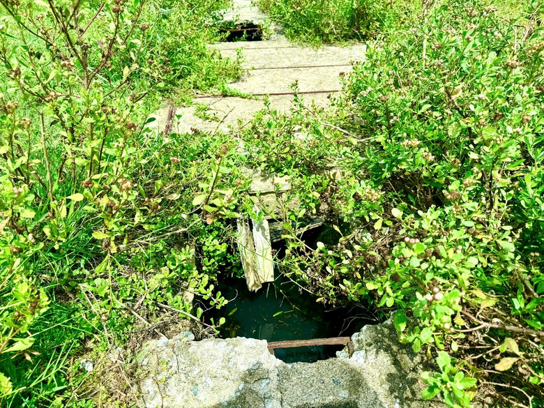 Huế: Sớm cải tạo, n&acirc;ng cấp trung t&acirc;m văn h&oacute;a thể thao 21 tỷ đồng bỏ hoang- Ảnh 7.