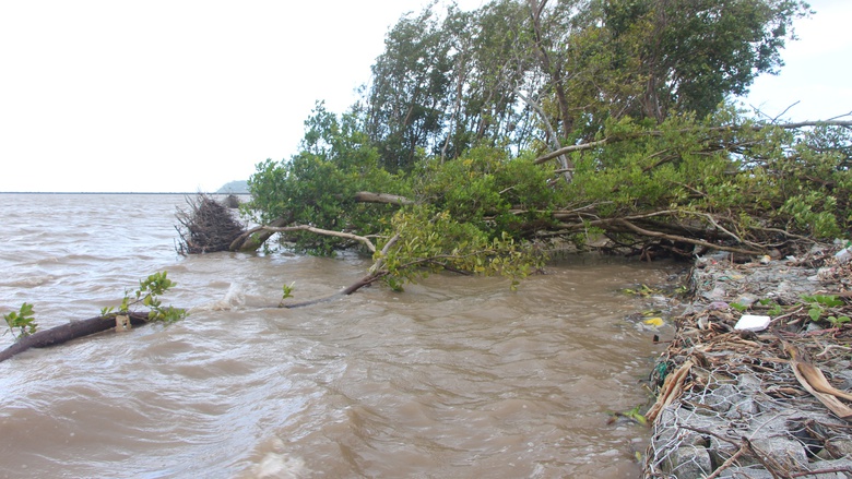 Cà Mau: Đê biển Tây "oằn mình" giữa mùa mưa bão- Ảnh 8. Cà Mau: Đê biển Tây "oằn mình" giữa mùa mưa bão- Ảnh 8.