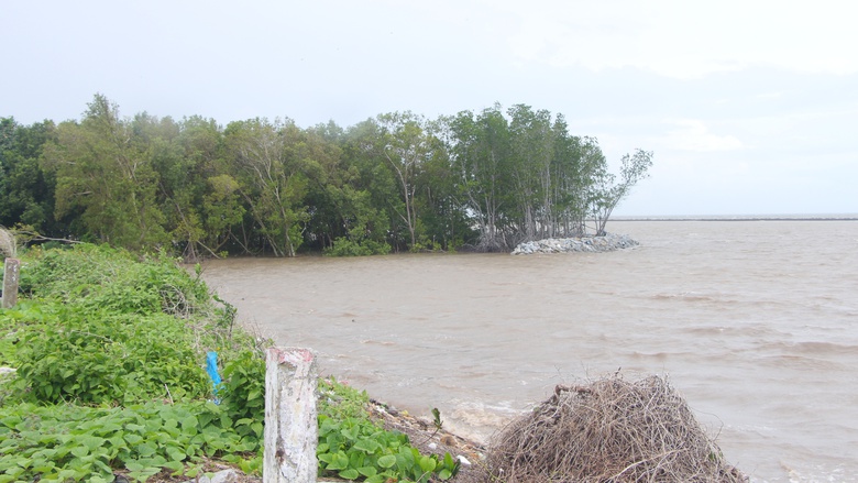 Cà Mau: Đê biển Tây "oằn mình" giữa mùa mưa bão- Ảnh 10. Cà Mau: Đê biển Tây "oằn mình" giữa mùa mưa bão- Ảnh 10.