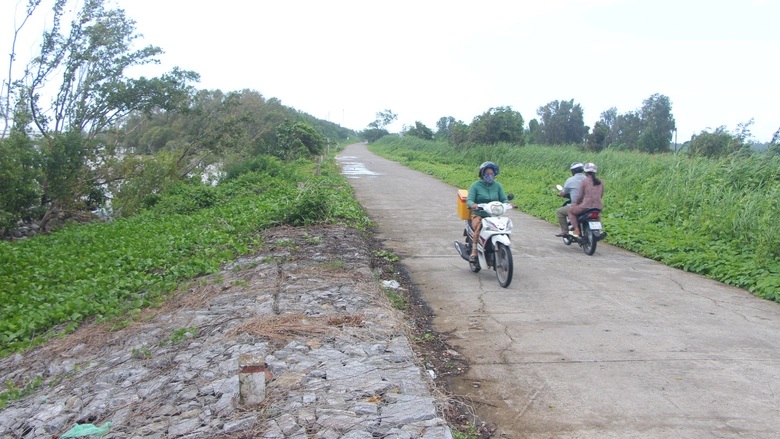 Cà Mau: Đê biển Tây "oằn mình" giữa mùa mưa bão- Ảnh 11. Cà Mau: Đê biển Tây "oằn mình" giữa mùa mưa bão- Ảnh 11.
