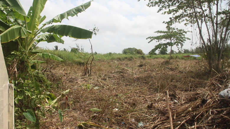 Giải ph&oacute;ng mặt bằng n&acirc;ng cấp Cảng h&agrave;ng kh&ocirc;ng C&agrave; Mau đạt tr&ecirc;n 99%- Ảnh 1.