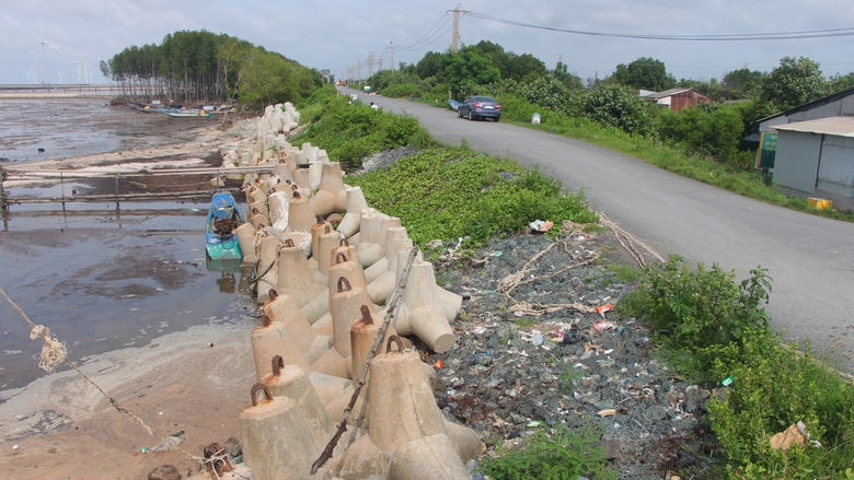 Cà Mau gấp rút gia cố đê biển Đông trước mùa mưa bão- Ảnh 2. Cà Mau gấp rút gia cố đê biển Đông trước mùa mưa bão- Ảnh 2.
