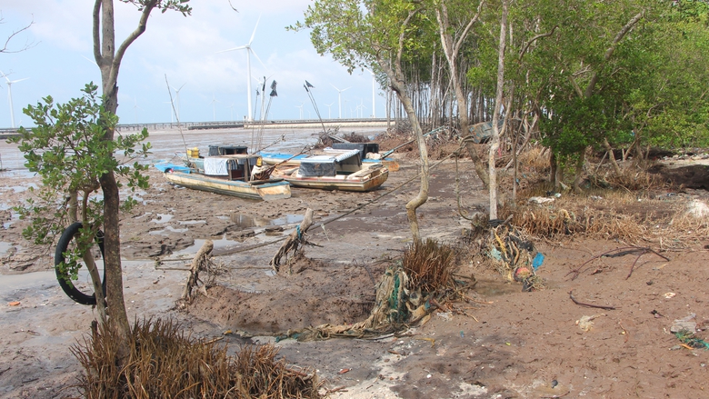 Cà Mau gấp rút gia cố đê biển Đông trước mùa mưa bão- Ảnh 3. Cà Mau gấp rút gia cố đê biển Đông trước mùa mưa bão- Ảnh 3.