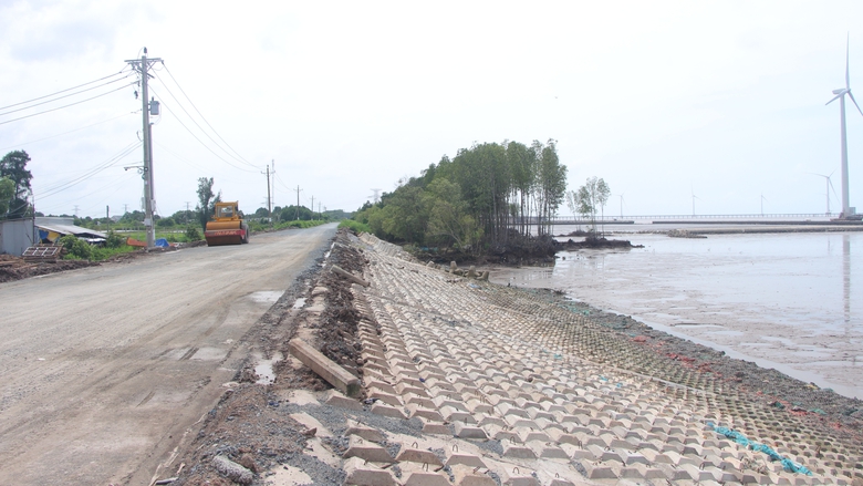 Cà Mau gấp rút gia cố đê biển Đông trước mùa mưa bão- Ảnh 1. Cà Mau gấp rút gia cố đê biển Đông trước mùa mưa bão- Ảnh 1.