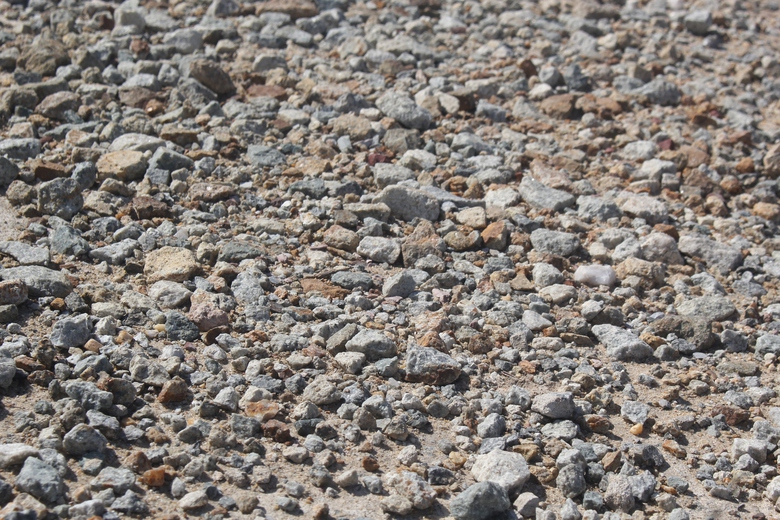 Hà Tĩnh: Đê Tả Nghèn xuống cấp nghiêm trọng, tiềm ẩn tai nạn giao thông- Ảnh 5. Hà Tĩnh: Đê Tả Nghèn xuống cấp nghiêm trọng, tiềm ẩn tai nạn giao thông- Ảnh 5.