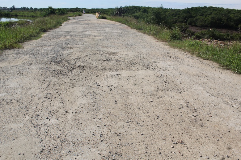 H&agrave; Tĩnh: Đ&ecirc; Tả Ngh&egrave;n xuống cấp nghi&ecirc;m trọng, tiềm ẩn tai nạn giao th&ocirc;ng- Ảnh 1.