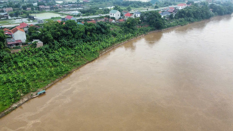 Phú Thọ: Sạt lở bờ sông Hồng nghiêm trọng đoạn xã Lâm Thao- Ảnh 2. Phú Thọ: Sạt lở bờ sông Hồng nghiêm trọng đoạn xã Lâm Thao- Ảnh 2.