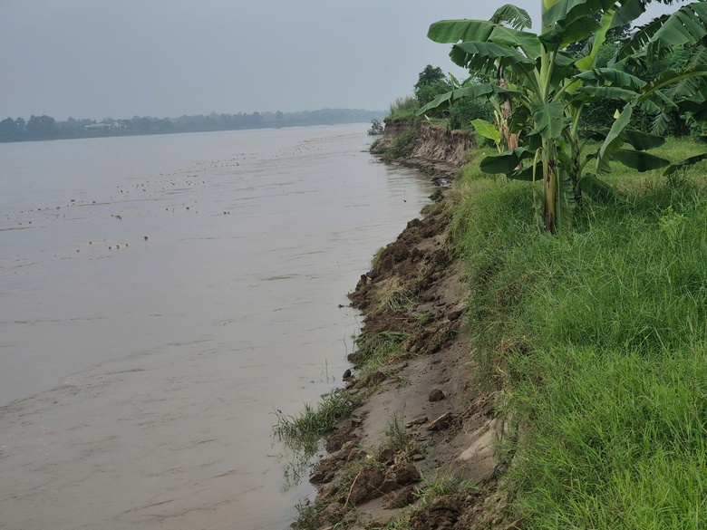 Phú Thọ: Sạt lở bờ sông Hồng nghiêm trọng đoạn xã Lâm Thao- Ảnh 5. Phú Thọ: Sạt lở bờ sông Hồng nghiêm trọng đoạn xã Lâm Thao- Ảnh 5.