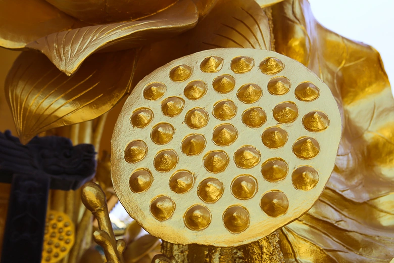 Chiêm ngưỡng ngôi chùa dát vàng độc đáo ở Hưng Yên- Ảnh 9. Chiêm ngưỡng ngôi chùa dát vàng độc đáo ở Hưng Yên- Ảnh 9.