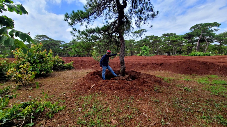Gia Lai: Cận cảnh dự &aacute;n s&acirc;n golf Đak Đoa sau ba năm bỏ hoang- Ảnh 9.