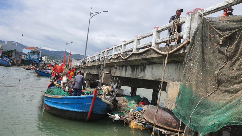 Lo cầu sập, Quảng Ngãi nghiêm cấm neo tàu cá vào trụ cầu- Ảnh 1. Lo cầu sập, Quảng Ngãi nghiêm cấm neo tàu cá vào trụ cầu- Ảnh 1.