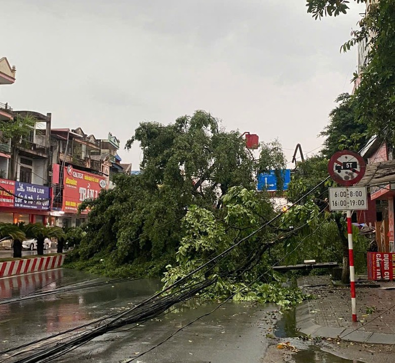 Th&aacute;i Nguy&ecirc;n: C&acirc;y đổ đ&egrave; tr&uacute;ng &ocirc; t&ocirc;, nhiều t&agrave;i sản hư hại  sau cơn gi&ocirc;ng lốc chiều 19/7- Ảnh 3.