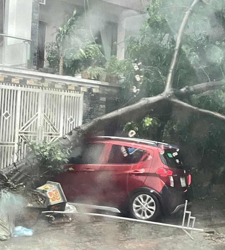 Th&aacute;i Nguy&ecirc;n: C&acirc;y đổ đ&egrave; tr&uacute;ng &ocirc; t&ocirc;, nhiều t&agrave;i sản hư hại  sau cơn gi&ocirc;ng lốc chiều 19/7- Ảnh 5.