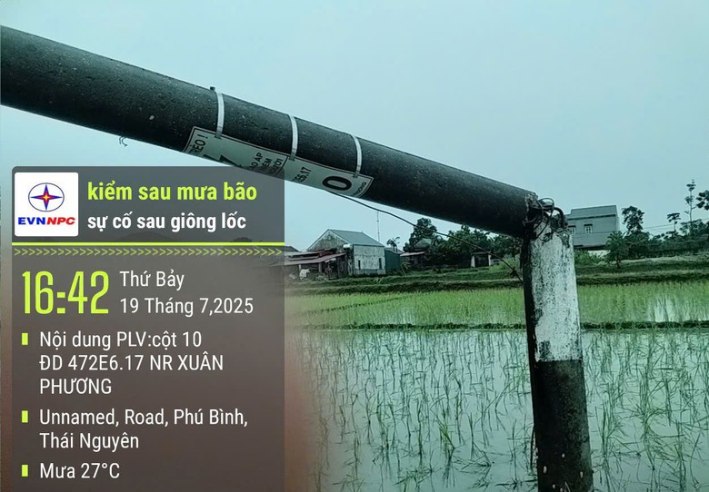 Th&aacute;i Nguy&ecirc;n: C&acirc;y đổ đ&egrave; tr&uacute;ng &ocirc; t&ocirc;, nhiều t&agrave;i sản hư hại  sau cơn gi&ocirc;ng lốc chiều 19/7- Ảnh 6.