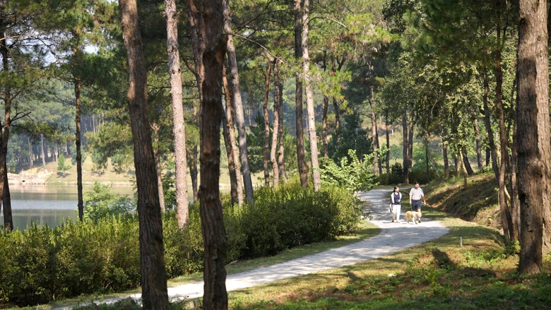 A group of people walking on a path in a forest  AI-generated content may be incorrect.