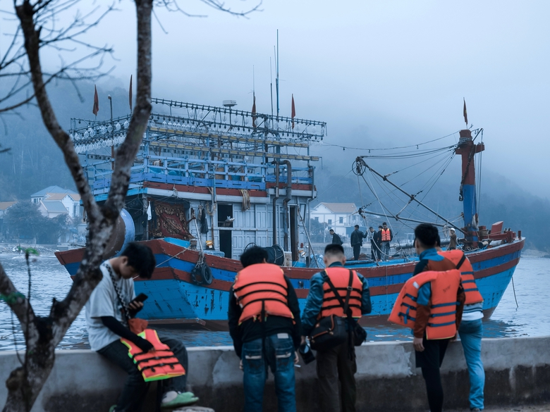 Đạo diễn phim "Đàn cá gỗ" nói gì về ồn ào PR lố?- Ảnh 3. Đạo diễn phim "Đàn cá gỗ" nói gì về ồn ào PR lố?- Ảnh 3.