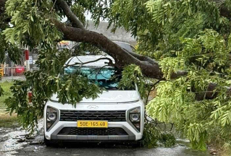 Gi&ocirc;ng lốc c&agrave;n qu&eacute;t TP.HCM: Nhiều căn nh&agrave; tốc m&aacute;i, c&acirc;y xanh, cột điện ng&atilde; đổ- Ảnh 1.