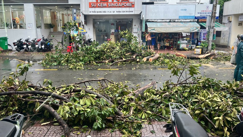 Ảnh hưởng b&atilde;o số 3, nhiều chuyến bay đi v&agrave; đến s&acirc;n bay T&acirc;n Sơn Nhất bị ho&atilde;n- Ảnh 4.