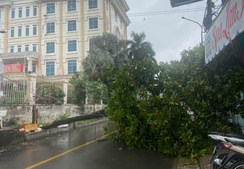 Đồng Nai: Nhiều nh&agrave; d&acirc;n bị tốc m&aacute;i, c&acirc;y đổ đầy đường sau mưa d&ocirc;ng- Ảnh 7.