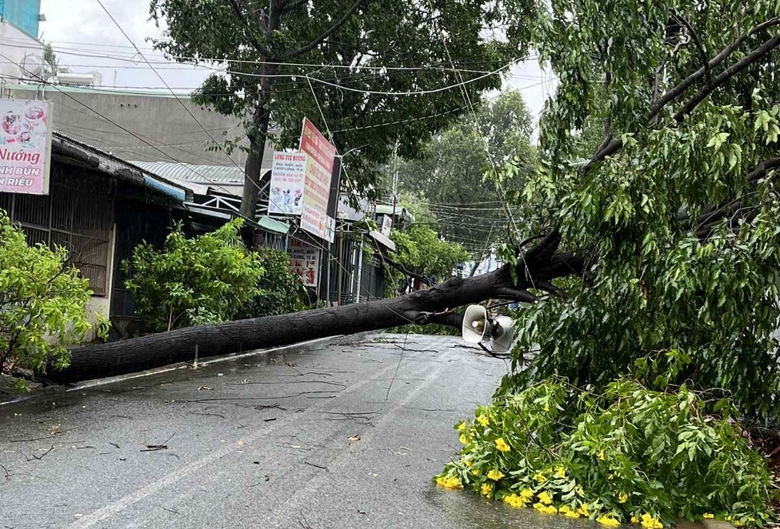 Đồng Nai: Nhiều nh&agrave; d&acirc;n bị tốc m&aacute;i, c&acirc;y đổ đầy đường sau mưa d&ocirc;ng- Ảnh 9.