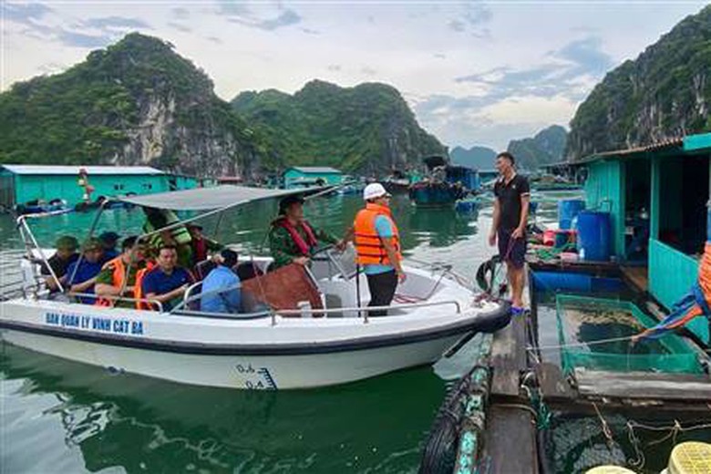 B&atilde;o số 3 Wipha: Hải Ph&ograve;ng l&ecirc;n phương &aacute;n sơ t&aacute;n, ph&ograve;ng chống ngập lụt- Ảnh 1.