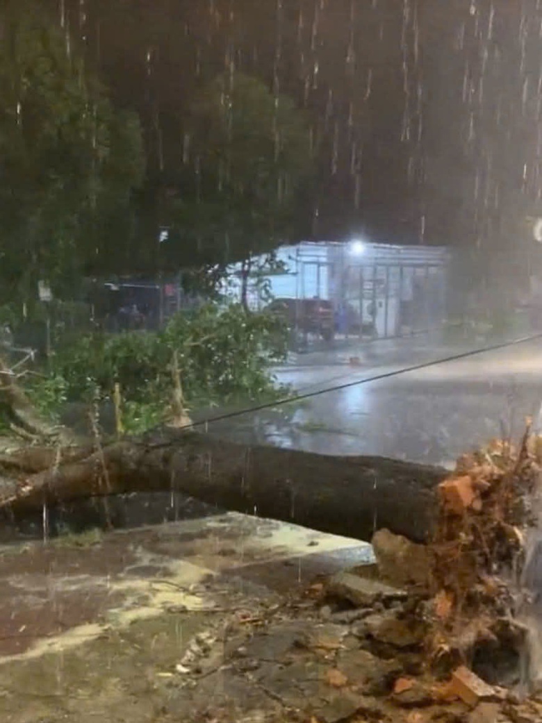 H&agrave; Tĩnh: Kịp thời khắc phục trường học, nh&agrave; d&acirc;n bị tốc m&aacute;i do lốc xo&aacute;y- Ảnh 2.