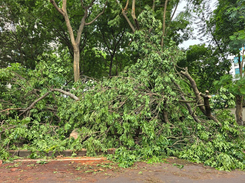 Hà Nội: Khẩn trương khắc phục hậu quả sau giông lốc, giải cứu ô tô, xe buýt mắc kẹt- Ảnh 2. Hà Nội: Khẩn trương khắc phục hậu quả sau giông lốc, giải cứu ô tô, xe buýt mắc kẹt- Ảnh 2.