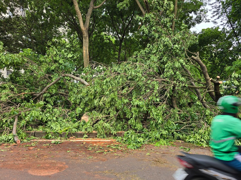 Hà Nội: Khẩn trương khắc phục hậu quả sau giông lốc, giải cứu ô tô, xe buýt mắc kẹt- Ảnh 4. Hà Nội: Khẩn trương khắc phục hậu quả sau giông lốc, giải cứu ô tô, xe buýt mắc kẹt- Ảnh 4.