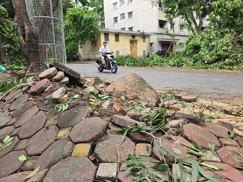 Hà Nội: Khẩn trương khắc phục hậu quả sau giông lốc, giải cứu ô tô, xe buýt mắc kẹt- Ảnh 15. Hà Nội: Khẩn trương khắc phục hậu quả sau giông lốc, giải cứu ô tô, xe buýt mắc kẹt- Ảnh 15.