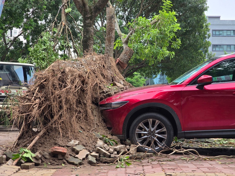 Hà Nội: Khẩn trương khắc phục hậu quả sau giông lốc, giải cứu ô tô, xe buýt mắc kẹt- Ảnh 8. Hà Nội: Khẩn trương khắc phục hậu quả sau giông lốc, giải cứu ô tô, xe buýt mắc kẹt- Ảnh 8.