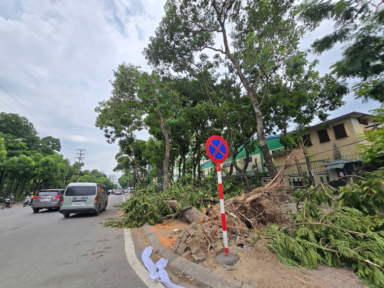 Hà Nội: Khẩn trương khắc phục hậu quả sau giông lốc, giải cứu ô tô, xe buýt mắc kẹt- Ảnh 20. Hà Nội: Khẩn trương khắc phục hậu quả sau giông lốc, giải cứu ô tô, xe buýt mắc kẹt- Ảnh 20.