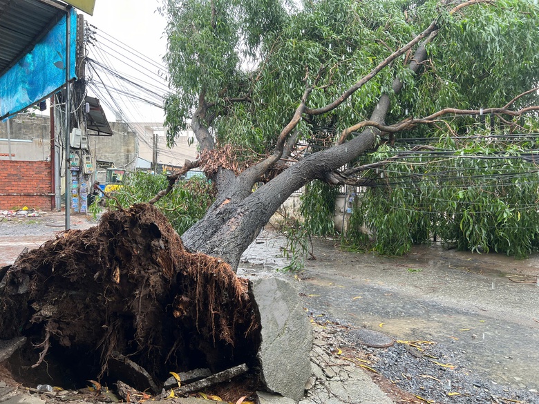 Gi&ocirc;ng lốc c&agrave;n qu&eacute;t TP.HCM: Nhiều căn nh&agrave; tốc m&aacute;i, c&acirc;y xanh, cột điện ng&atilde; đổ- Ảnh 6.