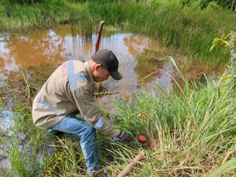 H&agrave; Tĩnh khẩn trương chuẩn bị mặt bằng cho dự &aacute;n đường sắt tốc độ cao Bắc - Nam- Ảnh 4.