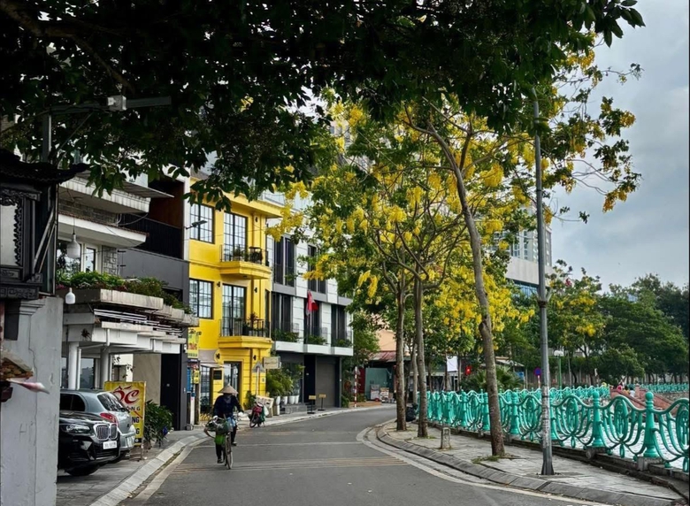 H&agrave; Nội: Ch&iacute;nh quyền h&agrave;nh động, người d&acirc;n chủ động ứng ph&oacute; b&atilde;o số 3- Ảnh 1.