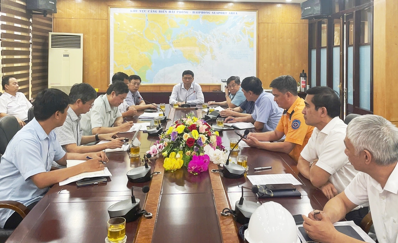 Thứ trưởng Nguyễn Xu&acirc;n Sang kiểm tra c&ocirc;ng t&aacute;c ứng ph&oacute; b&atilde;o số 3 tại Quảng Ninh, Hải Ph&ograve;ng- Ảnh 2.