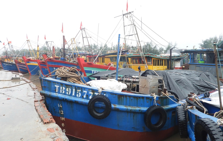 C&aacute;c tỉnh, th&agrave;nh chỉ đạo tập trung ứng ph&oacute; b&atilde;o số 3- Ảnh 3.