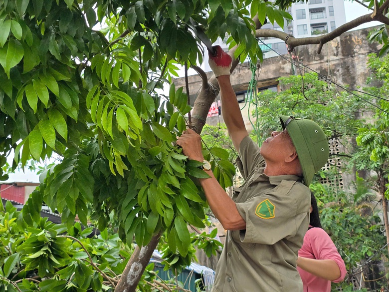 H&agrave; Nội: Ch&iacute;nh quyền h&agrave;nh động, người d&acirc;n chủ động ứng ph&oacute; b&atilde;o số 3- Ảnh 11.