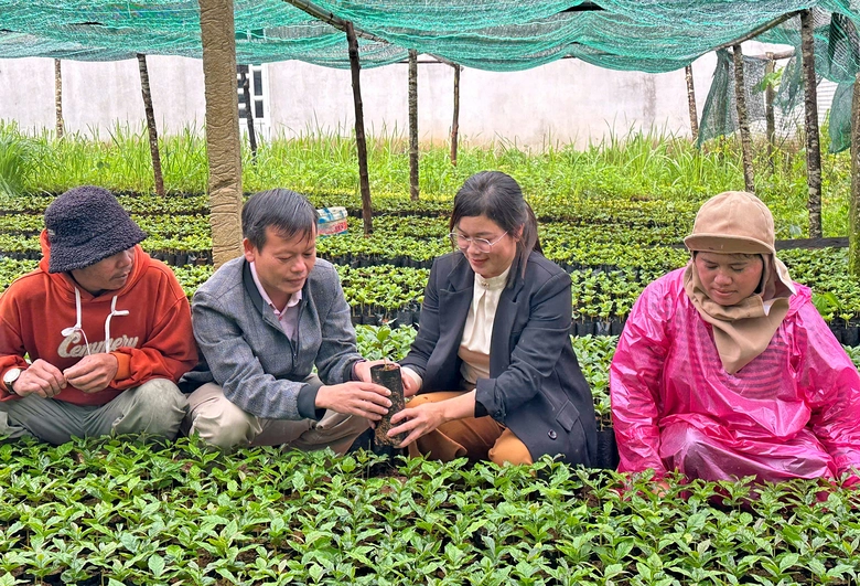 Đại hội Đảng bộ x&atilde; &ldquo;nhận c&acirc;y giống, kh&ocirc;ng nhận hoa&rdquo;- Ảnh 1.
