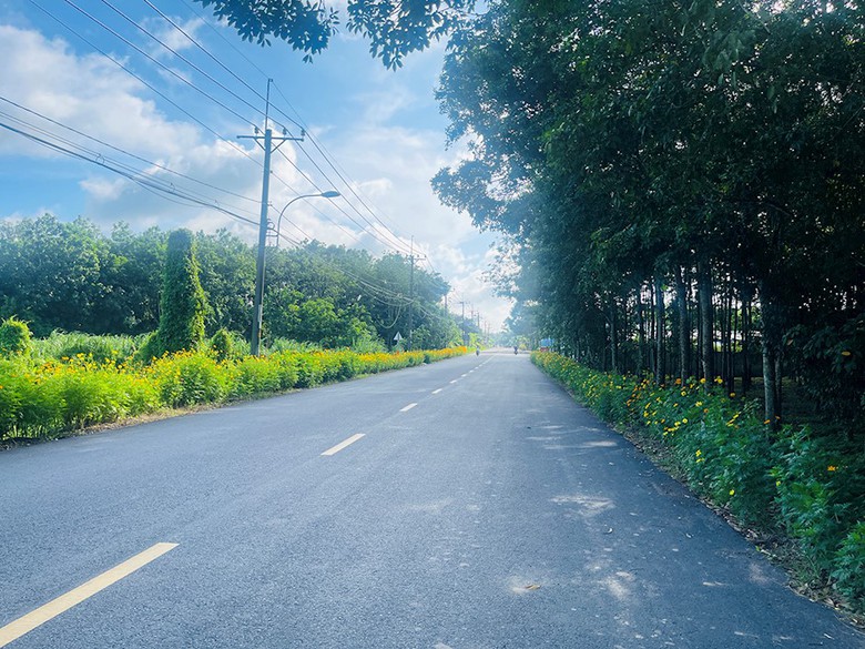 TP.HCM: Tất cả c&aacute;c x&atilde; ho&agrave;n th&agrave;nh ti&ecirc;u ch&iacute; n&ocirc;ng th&ocirc;n mới n&acirc;ng cao- Ảnh 1.